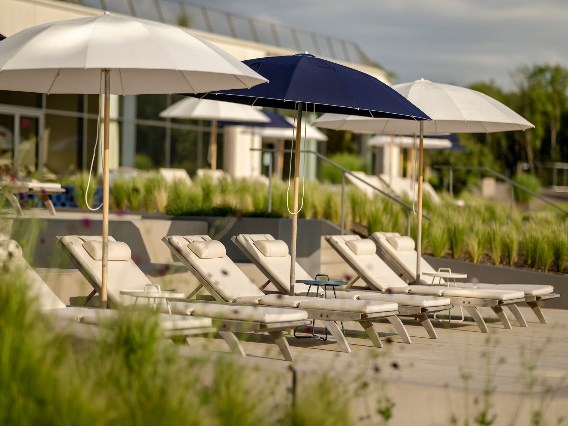 Seezeitlodge: Bildergalerie Leere Liegestühle mit Sonnenschirmen an einem sonnigen Poolbereich