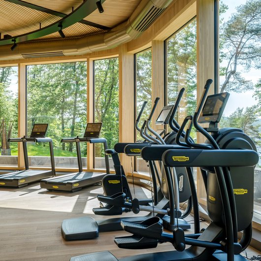 Seezeitlodge: Ihr Spa-Hotel am Bostalsee Fitnessraum mit moderner Ausrüstung und großen Fenstern mit Blick ins Grüne