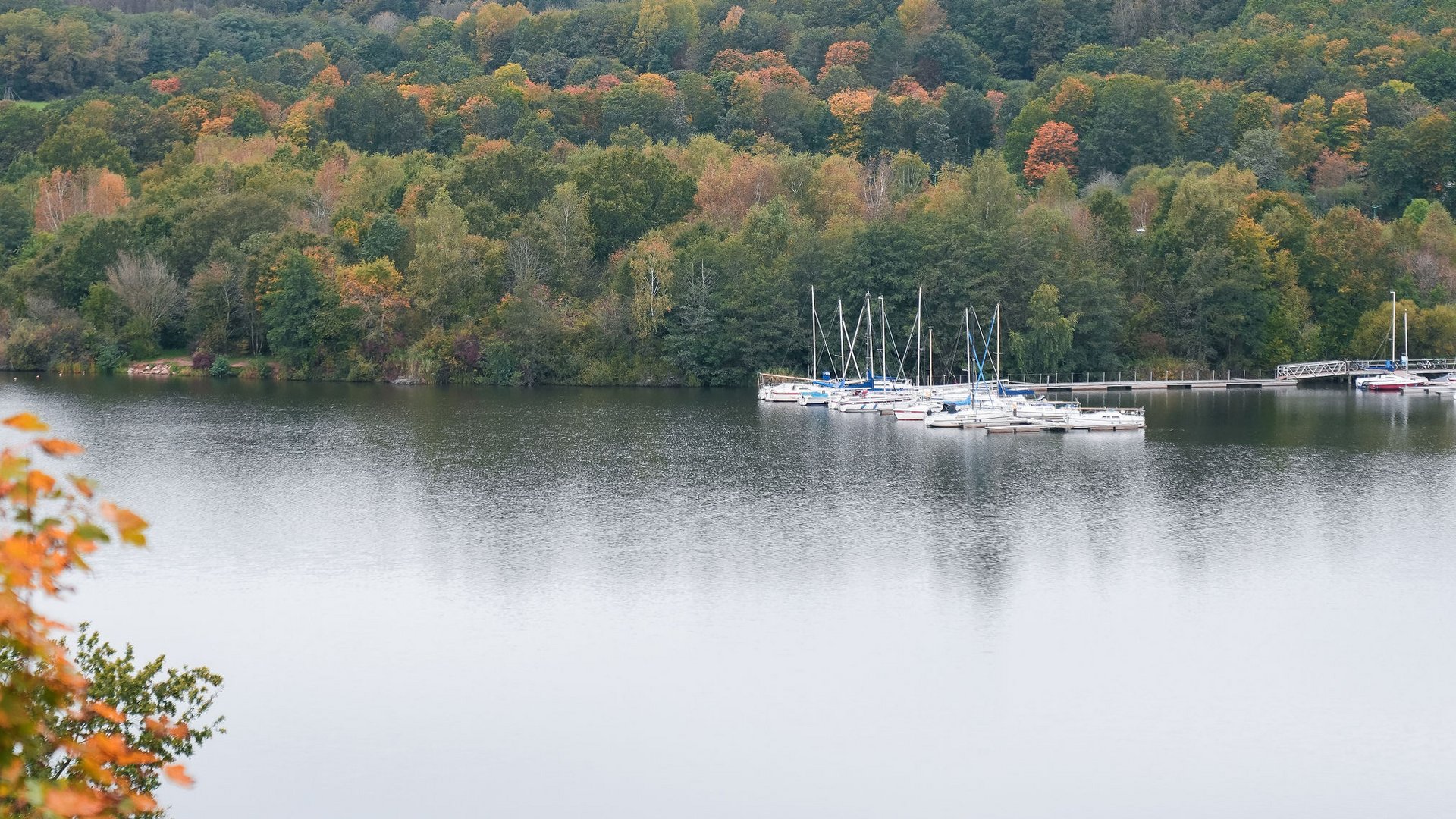 Seezeitlodge : Galerie photos Lac d'automne avec des yachts et une colline boisée en arrière-plan