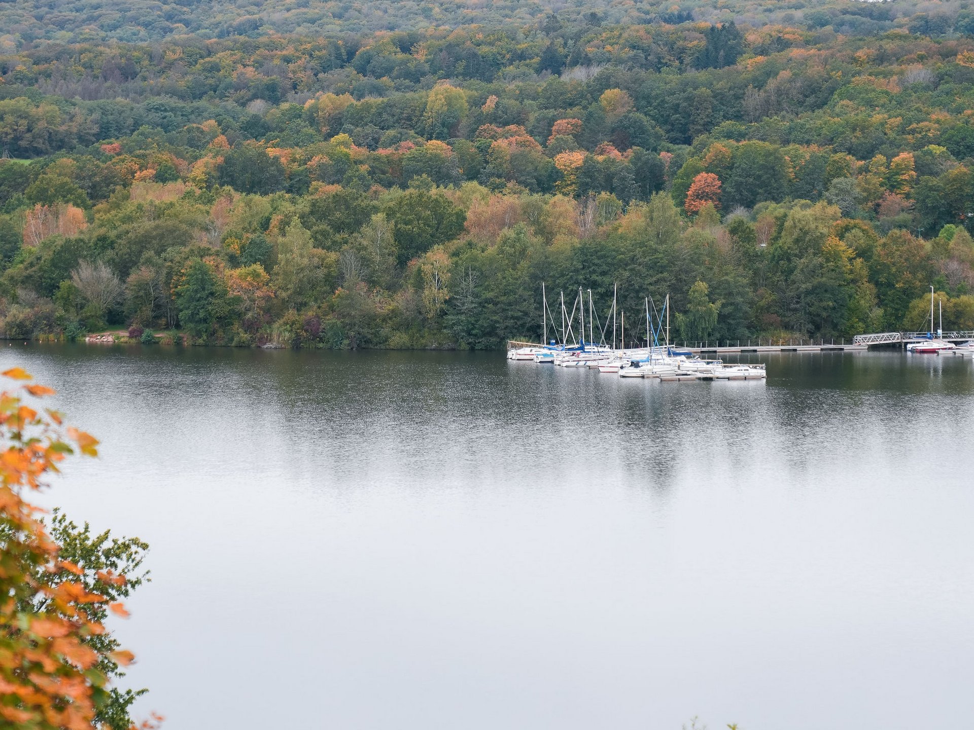 Urlaub am Bostalsee: die Highlights der Region Herbstlicher See mit Yachten und bewaldeten Hügeln im Hintergrund