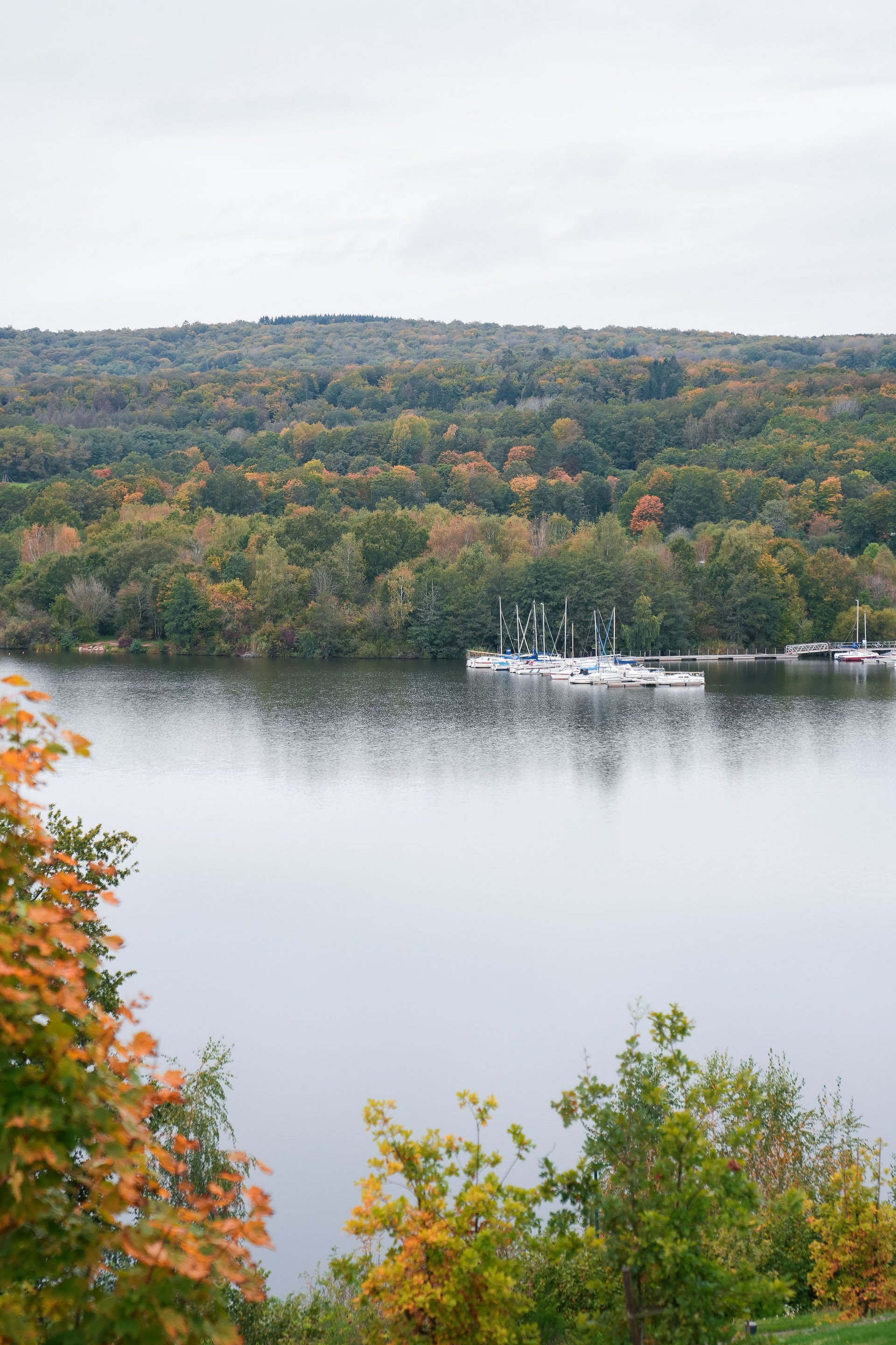 Seezeitlodge: Bildergalerie Herbstlicher See mit Yachten und bewaldeten Hügeln im Hintergrund