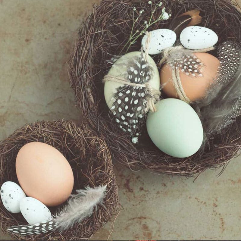 Ostara im keltischen Jahreskreis - eier im Nest - LieblingsGeschichten Blog