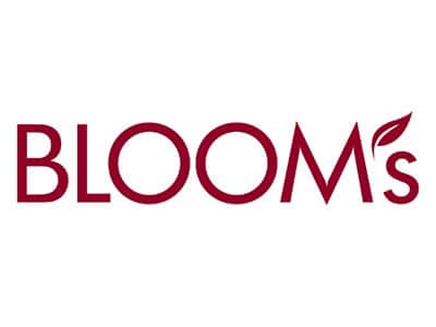 Blooms Deco Logo Presse Seezeitlodge