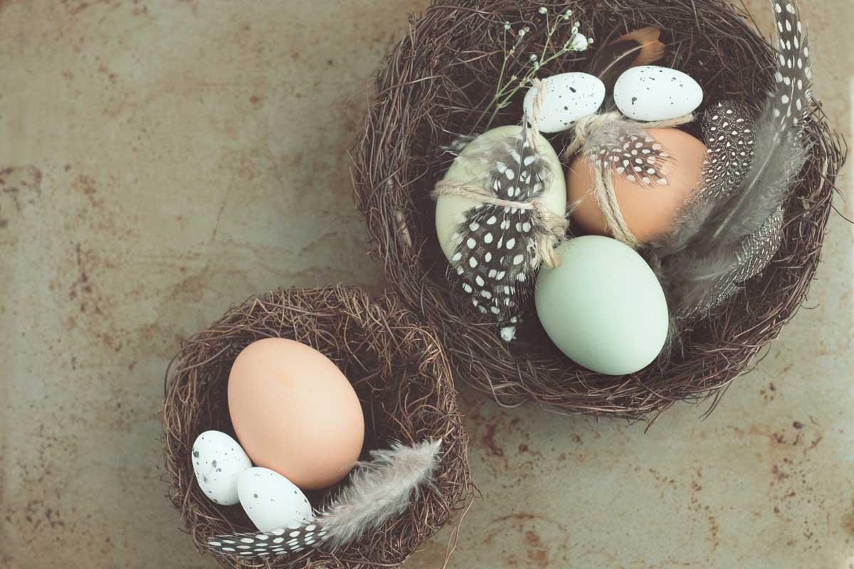 Ostara im Keltischen Jahreskreis - Eier im Nest - LieblingsGeschichten Blog